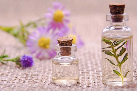 Living in the Now with Essential Oils, Mindfulness, and Meditation