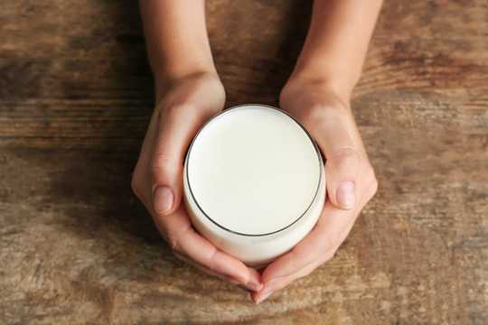 Camel Milk Reduces Cell Inflammation Associated With Type 2 Diabetes