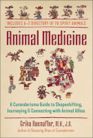 book cover of Animal Medicine: A Curanderismo Guide to Shapeshifting, Journeying, and Connecting with Animal Allies by Erika Buenaflor, M.A., J.D.